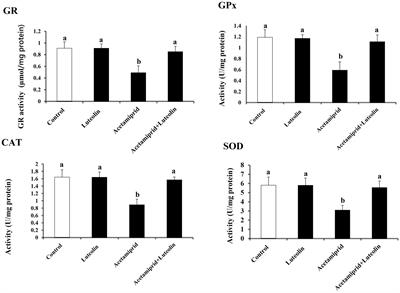 The potential neuroprotective of luteolin against acetamiprid-induced neurotoxicity in the rat cerebral cortex